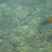 Picture 081